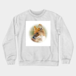 Dhole-asian wild dog Crewneck Sweatshirt